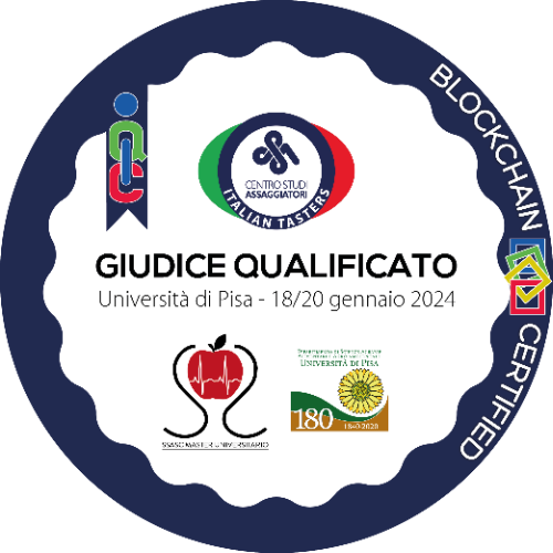 Giudice qualificato